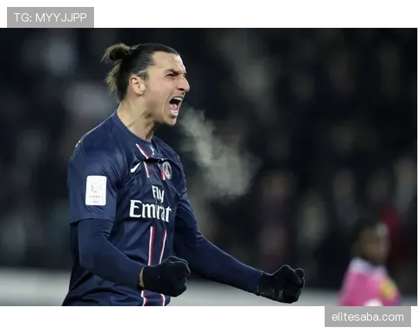 卡瓦尼与伊布的前场角色分化：射门效率与跑动模式的对比分析