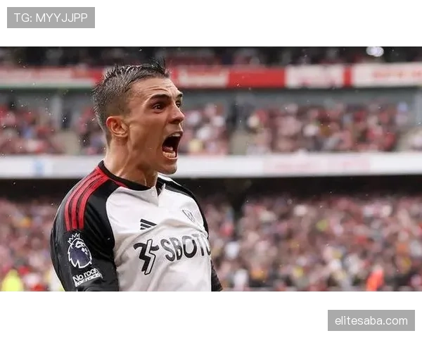 帕利尼亚：从破坏型后腰到稳定出球点的角色演变分析