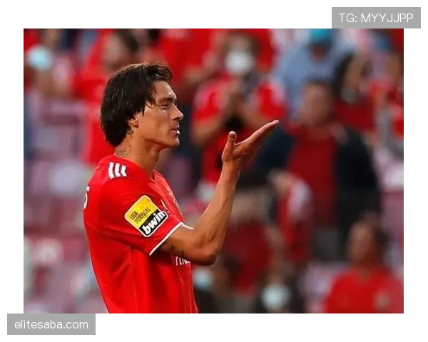 努涅斯作为非典型中锋，为何能力评价两极分化？