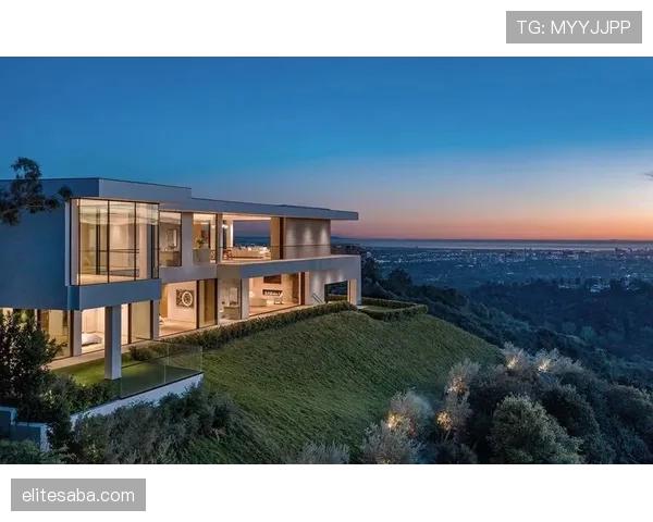 大阪刚买下比弗利山庄那栋豪宅，月供比我年薪还高